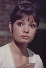 Watch Gidget Grows Up Gomovies