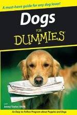 Watch Dogs for Dummies Gomovies