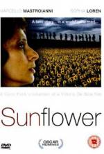 Watch Sunflower Gomovies