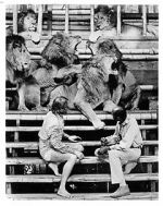 Watch Roar: The Most Dangerous Movie Ever Made Gomovies