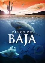 Watch Kings of Baja Gomovies