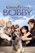 Watch Greyfriars Bobby The True Story of a Dog Gomovies