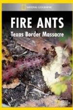 Watch National Geographic Fire Ants: Texas Border Massacre Gomovies