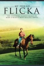 Watch My Friend Flicka Gomovies