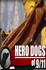 Watch Hero Dogs of 911 Documentary Special Gomovies