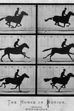Watch Sallie Gardner at a Gallop Gomovies