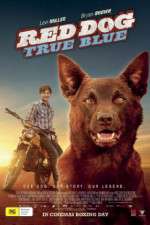 Watch Red Dog True Blue Gomovies