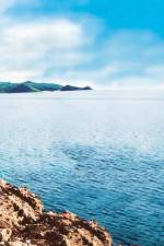 Watch Intent Gomovies