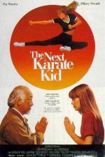 Watch The Next Karate Kid Gomovies