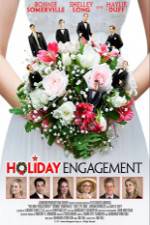 Watch Holiday Engagement Gomovies