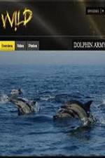 Watch National Geographic Wild Dolphin Army Gomovies