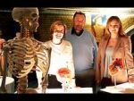Watch Inside the Body of Henry VIII Gomovies