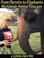 Watch From Parrots to Elephants: Worldwide Animal Rescues Gomovies