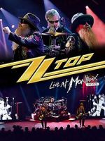 Watch ZZ Top: Live at Montreux 2013 Gomovies