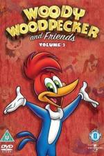 Watch Woody Woodpecker and His Friends Gomovies
