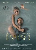 Watch A Perfect Enemy Gomovies