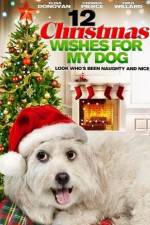Watch 12 Christmas Wishes For My Dog Gomovies