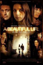 Watch A Beautiful Life Gomovies