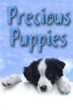 Watch Precious Puppies Gomovies