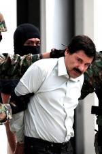Watch The Rise and Fall of El Chapo Gomovies