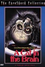Watch Un gatto nel cervello Gomovies