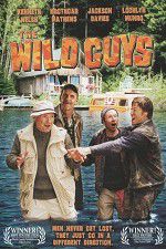 Watch The Wild Guys Gomovies