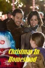 Watch Christmas in Homestead Gomovies