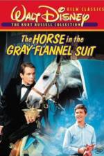 Watch The Horse in the Gray Flannel Suit Gomovies