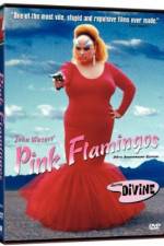 Watch Pink Flamingos Gomovies