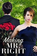 Watch Making Mr. Right Gomovies