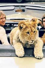 Watch The Lion Cub from Harrods Gomovies