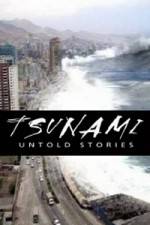 Watch Tsunami: Untold Stories Gomovies