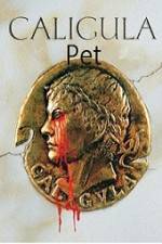 Watch Caligula's Pet Gomovies