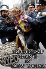 Watch NYPD: Biggest Gang in New York? Gomovies
