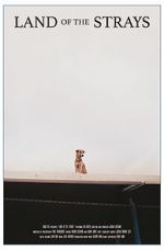 Watch Land of the Strays (Short 2018) Gomovies