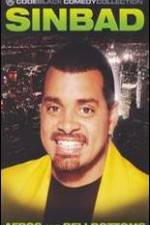 Watch Sinbad: Afros and Bellbottoms Gomovies