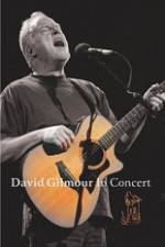 Watch David Gilmour in Concert - Live at Robert Wyatt's Meltdown Gomovies