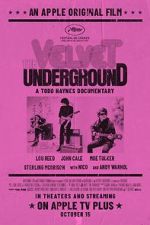 Watch The Velvet Underground Gomovies