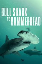 Watch Bull Shark vs Hammerhead Gomovies