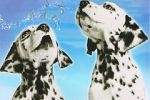 Watch 101 Dalmatians Sing Along Gomovies