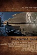 Watch Unexpected Guest Gomovies