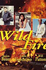 Watch Wildfire Gomovies