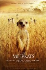 Watch The Meerkats Gomovies