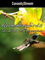 Watch Hummingbirds Jewelled Messengers Gomovies