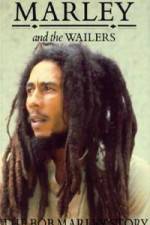 Watch Caribbean Nights Gomovies