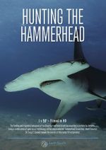 Watch Hunting the Hammerhead Gomovies