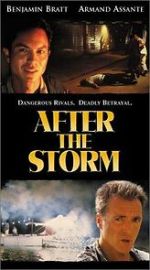 Watch After the Storm Gomovies