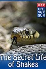 Watch The Secret Life of Snakes Gomovies