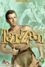 Watch Tarzan and the Trappers Gomovies