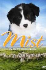 Watch Mist: The Tale of a Sheepdog Puppy Gomovies